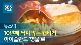 10년째 썩지 않는 햄버거…아이슬란드 '명물'로 / SBS / 뉴스딱