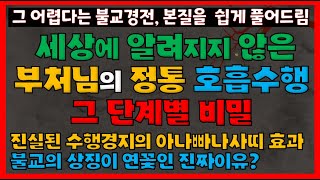 모든 고급수행을 위해 반드시 알아야 할 정통 호흡수행 단계 | 비밀 아나빠나사띠 | 친절한 불경해설 아함경 안반품 본수행편 연꽃의 진짜 의미 | 호흡명상 | 오기조원 삼화취정 |