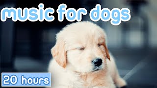 [No Ads] Music for Dogs: 20 Hours of Gentle Calming Songs