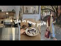 nyc vlog 🍁 trying new cafe, christmas train & weekend in connecticut