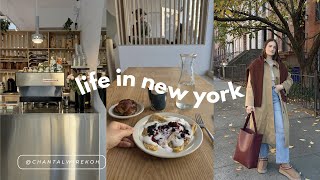 nyc vlog 🍁 trying new cafe, christmas train \u0026 weekend in connecticut