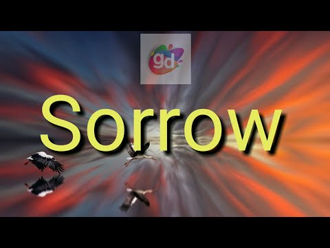 What is an antonym for sorrowful?