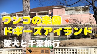 犬【千葉旅行】ドギーズアイランド【旅犬うに#11】2022