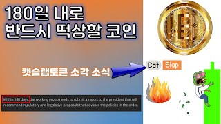 국영기업도 비트코인 매수 시작! 180일내로 반드시 상승할 코인과 캣슬랩토큰 소각 소식