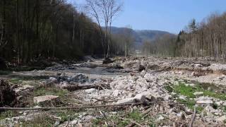 Hrvat u Njemačkoj - Olujno nevrijeme nad potočićem Grimmbach, nevjerojatna snaga vode