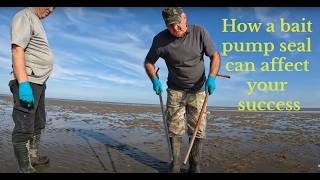 How the wrong lugworm bait pump seal can affect your success