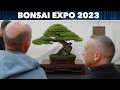 Pameran BONSAI 2023