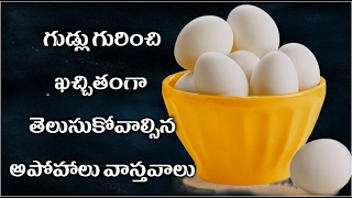 ఎగ్స్ గురుంచి తెలుసుకోవాలిసన విషయాలు | eggs gurunchi telusukovalisina visayalu?