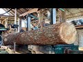 The process of sawing pine logs in a lumber factory - Ordinary pine logs