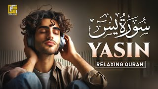 Most Relaxing Surah Yasin (Yaseen) سورة يس | Heart Touching | Zikrullah TV