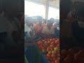 ambareesh tomato auction at chikkamangalore apmc market kr vegetables 31 05 2022 got toprate