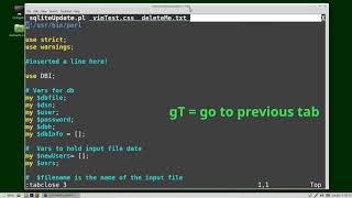Vim (25) Window Tabs