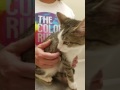 Lori follow up. Her progress is amazing. Lori follow up. Her progress is amazing.