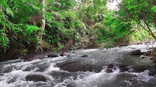 Babbling Brook ASMR, calm river sounds, creek sounds, Relaxing river sounds no birds, water sounds