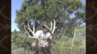Giant Mule Deer Shed Antlers Picked Up - MossBack