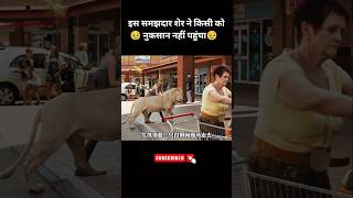 समझदार शेर ने किसी को नुकसान नहीं पहुंचाया 🥹|| #shorts #movie #anime