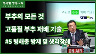 고품질 부추 재배기술 5편 - 병해충 방제 및 생리장해