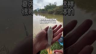 挑战随机水域钓鱼，老家篇 浑浊小野河#原来钓鱼才是抖音运动顶流 #2024dou来钓鱼 #钓鱼王地狱猫 #dou是钓鱼人