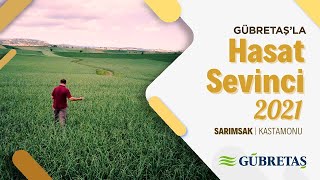 Sarımsak Hasat Sevinci | Kastamonu