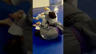 Imanari Roll into Armbar 🤸‍♂️ #bjj #jiujitsu #mma #technique