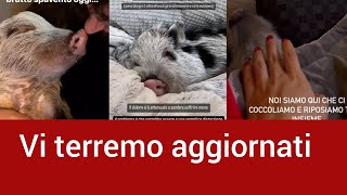 Pumba si è infortunato ❤️ che spavento - Angolo Di Paradiso Family Instagram Storie 28/12/22 #pumba