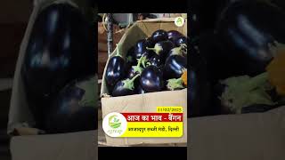 11 Feb, 2025 | आज का ताज़ा भाव 🍆 बैंगन | आज़ादपुर सब्ज़ी मंडी