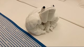 Towel folding #frog #kodok