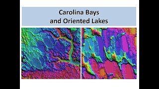 Carolina Bays and Oriented Lakes