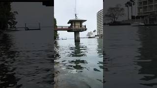 揭开琵琶湖神秘面纱：湖大似海，难渔上天Biwa lake in Japan