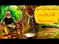 Haji Waris Ali Shah ki Karamat | Darakht Doodh Dene Laga