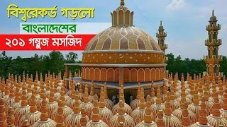 Tangail gopalpur /টাংগাইল গোপালপুর পাথালিয়া গ্রাম 201 গম্বুজ মসজিদ