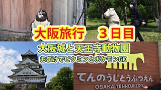 天王寺動物園と大阪城を探検してきた！【旅行】