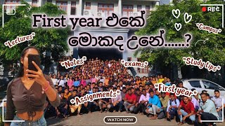 First year එක ගැන හැමදේම 😎💐 | campus යන්න කලින් අනිවාර්යයෙන් බලන්න |My experience 😍 |Japura 🤗🌼