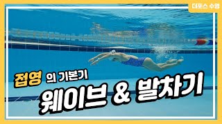 접영이 잘 안된다면? (접영의 기본기 다지기!)