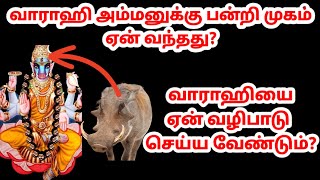 🤔வாராஹி அம்மனுக்கு பன்றி முகம் ஏன் வந்தது?|varahi valipadu|varahi story|varahi amman miracles|varahi