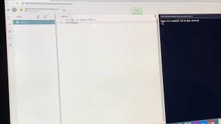 How to print a word multiple times using python code