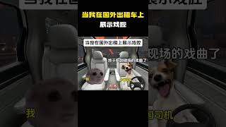 当我在国外出租车上展示戏腔#猫meme #内容过于真实 #funny