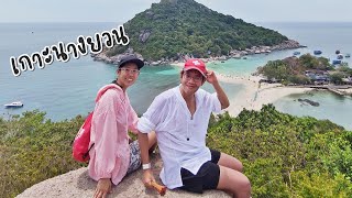 ทัวร์ดำน้ำ เกาะเต่า เกาะนางยวน เห็นเต่ายักษ์ | GoNoGuide Go Thailand