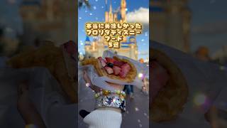 【もう一度食べたい】フロリダディズニーフード🧇🍦🍕