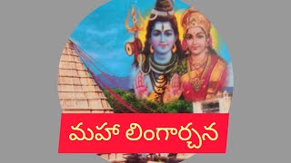 మహా లింగార్చన-3