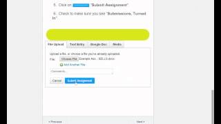 How to Submit an Assignment (Word or Text)