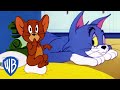 Tom y Jerry en Español | ¡Los momentos más divertidos de Jerry! 🐭 | WB Kids