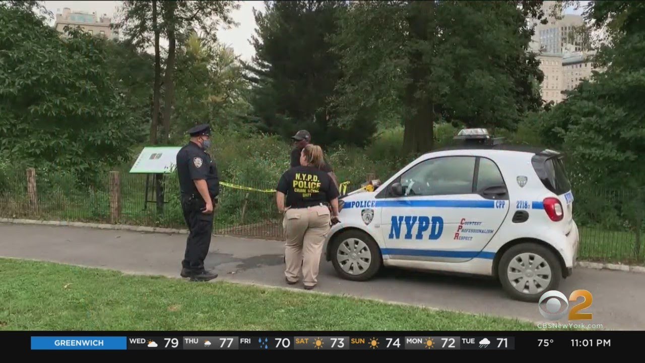 26-Year-Old Man Found Dead In Central Park - YouTube