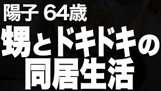 研修で上京する35歳の甥を1カ月家に泊めている間に…（陽子 64歳）