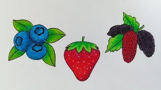 Cara menggambar buah berry || Belajar menggambar dan mewarnai buah buahan