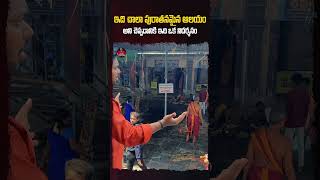 ఇది చాలా పురాతనమైన ఆలయం #SriMandeswaraSwamy #Mandapalli #Konaseema #vlog #TempleVlog #TeluguVlogs