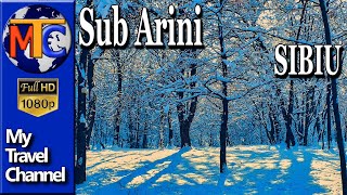 Parcul Sub Arini Iarna ✔