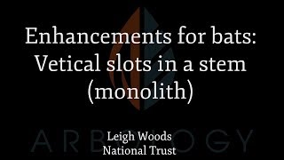 Enhancements for bats: Slots in a standing stem (monolith)