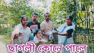 কণিকাহতৰ দেৱালীৰ চিঠিখেল//Assamese comedy video//Assamese funny video