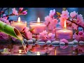 Relaxing Sleep Music & Reduce Insomnia, Stress Relief, Relaxing, Calming Music and Meditation Music